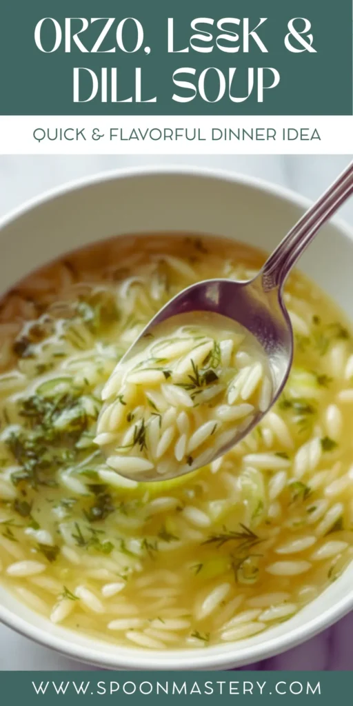 Orzo, Leek And Dill Soup